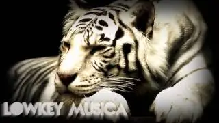 Toxic Aud!o - Bass Machine (Original Mix)