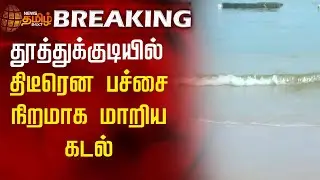 #BreakingNews || தூத்துக்குடியில் திடீரென பச்சை நிறமாக மாறிய கடல்! | Thoothukudi | Sea Colour Change
