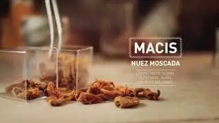 Toque | Especias para gin tonic: Macis Nuez moscada
