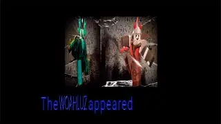 Doctor Nowhere ROBLOX GAME!?!? Ft. Looboo!!!