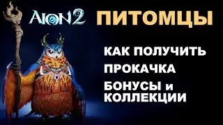 🐱Питомцы в Aion 2 — зачем нужны, как получить и прокачать