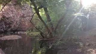 Chester Creek