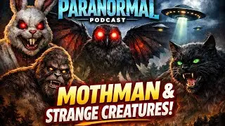 ITP: Ep 39 