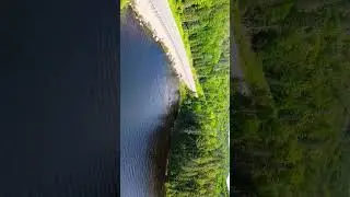 Algonquin provincial park #2 aerial view #canada #drone #aerialview #nature #droneview #travel