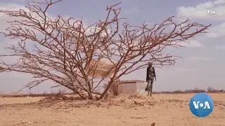 1 million in Somalia set to face hunger amid drought, WFP says