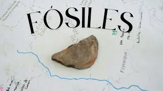 ESPERE Y LE CUENTO - Ep.10.T3 Fósiles: la prehistoria hecha piedra