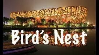 Bird's Nest Olympic Stadium | Beijing National Stadium | Beijing National Aquatics Center