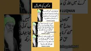bujurgon ki aham baten #trending #quotes #shortvideos #bestquotes #motivation
