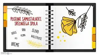 Samostalniki srednjega spola 2. del