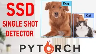 Pytorch Object Detection Using SSD Model. Object Detection Using Pytorch.#pytorch #ai #ml #tech