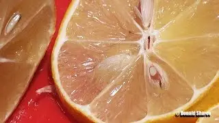 Cutting Chinese Lemon in Ultra HD 4K