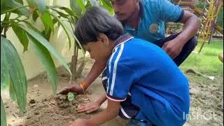 Watch Kids Turn Green Heroes! 🌳 #PlantationDay #Shorts #GreenSchool #GoGreen #SchoolEvent #TreePlant