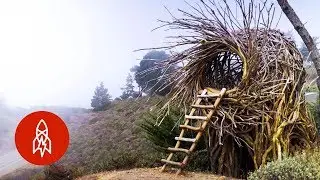 Meet the Man Building Human-Sized Nests