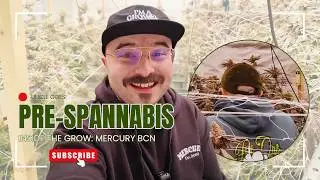 UNCLE GOES: PRE-SPANNABIS - Inside Legacy C4nnabis Grow in Barcelona  👀 Mercury with Uncle Kush