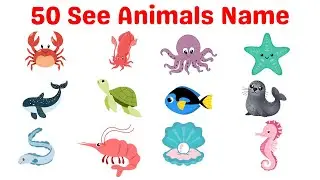 Sea Animals Names for Kids 🐠🐬 | Learn Ocean Animals Like Dolphin, Shark, Octopus & More