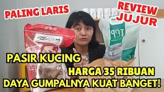 Paling Laris!! Pasir Kucing Bentonite MARKOTOP VS TOP