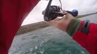 Huge Sydney Kingfish and Bream | Botany Bay fishing