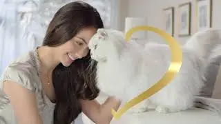 Try Gourmet Naturals Recipes Wet Cat Food &ndash; Fancy Feast