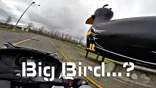 Twisties, Power Slides & Old Bikes! - 2014 Spyder RT!  | MotoVlog 23