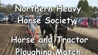 NORTHERN H H S