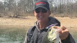 How To Catch Lots Of Shallow Bass In February&hellip;