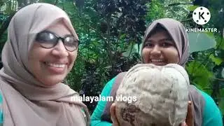 #malayalamvlogs #vlogsmalayalam #malayalamvlogs  #malayalam vlogs #silutalksselha #vlog3