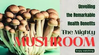 The Mighty Mushroom Unveiling the Remarkable Health Benefits