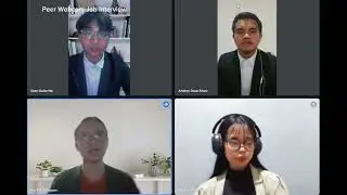 Peer Webcam Job Interview