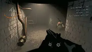 Hilarious Loot Bug Mod