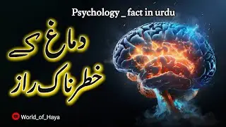 psychology  fact in urdu | نفسیات کے چونکا دینے والے حقائق | 