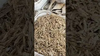 HYDERABAD&rsquo;S BIGGEST FISH 🐠 MARKET | RAM NAGAR FISH 🎣MARKET MUSHEERABAD | WHOLESALE PRICES ANY FISH