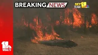 Breaking: Brush fire spreading in Baltimore County
