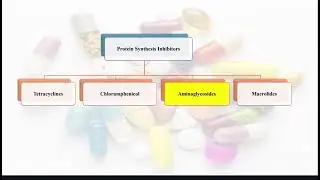 Medicinal I Lec. 4 P2 + 5 Antibiotics 