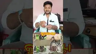 Kua Kanta #odisha #odia #90s #niakhunta #viral #story #quotes #motivation #shorts #facts #village