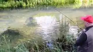 Super easy nymph. (Spinfly D.B.S. at Sorgiva Gargantini)
