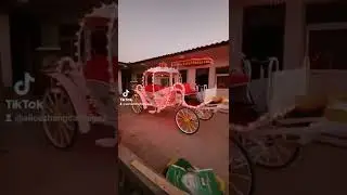 sightseeing cinderella pumpkin carriage#luxury electric horse carriage#horse buggy for American