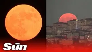 Strawberry Super Moon lights up the night