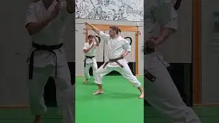 Shaolin Basic Kihon Kumite Kempo for beginners (Karate/Kung Fu) by Dennis Kempo Part 1