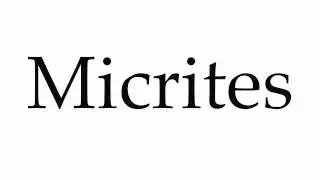 How to Pronounce Micrites