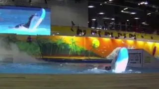 London Boat Show Highlights