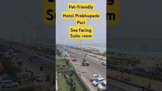 Pet-friendly Hotel Prabhupada Puri | Suite Room #poppins #lolipop #petfriendly #puri #sea #beach