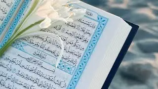 &ldquo;Quran Se Sakoon Aur Rahnumai | Daily Islamic Reminder | #QuranicWisdom&rdquo;