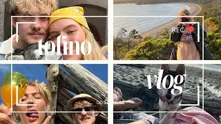Tofino  | Proposal | Camping | Surf Grove