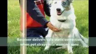 Buy PetSafe PIF-300 Pet Containment System Dog Training Collar! | Buy It On Sale Now In 2016!