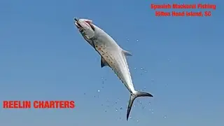 Spanish Mackerel Fishing, Hilton Head Island, SC May 10 2022