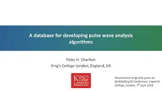 A database for developing pulse wave analysis algorithms