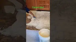 !How to spread carpet glue&iexcl; #carpet #glue #how #spread #contructions
