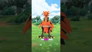 Can I Catch Galarian Zapdos? Part 1 #pokemongo