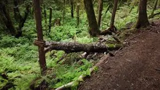 Four Lakes Trail, BC