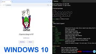 Composer (PHP Dependency manager) installation on Windows 10